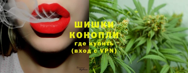 бутират Инсар
